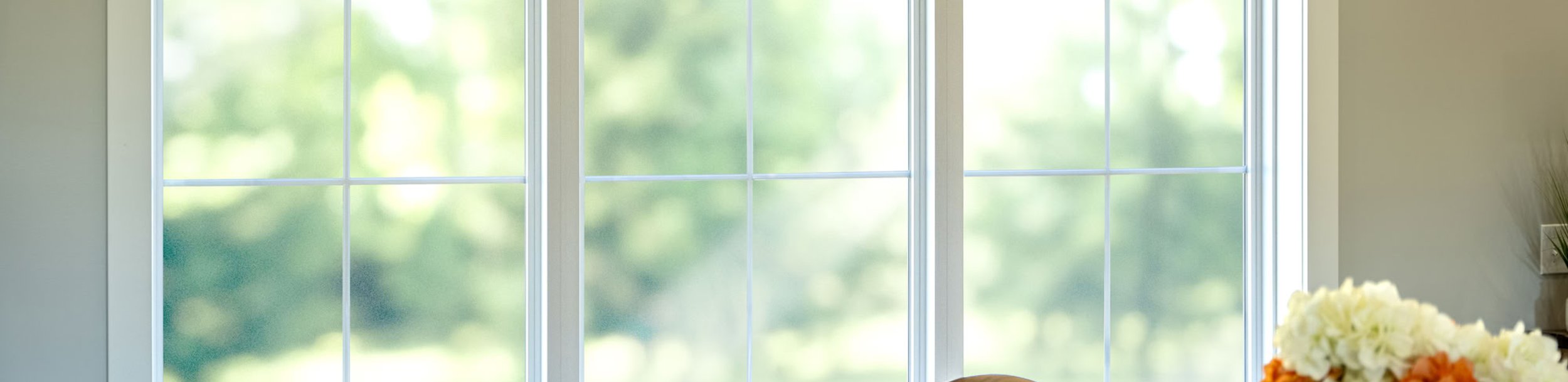 Standard 4 by 4 window looking outside